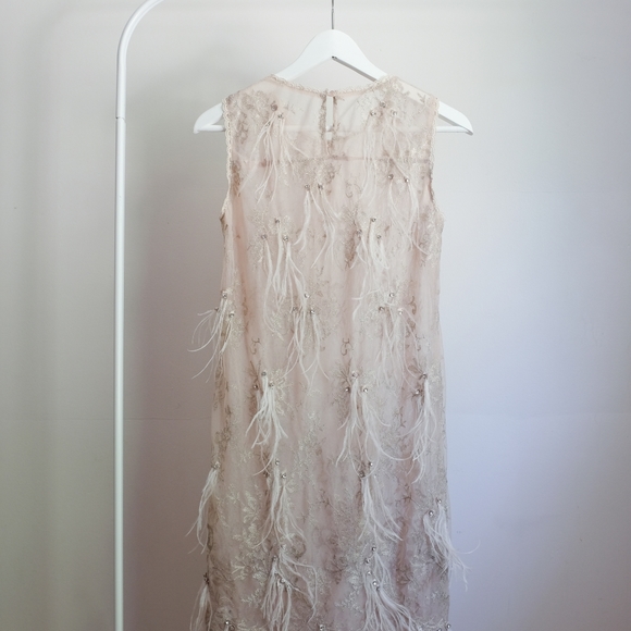 Beige Mesh Dress with Feathers and Gems - Picture 3 of 4